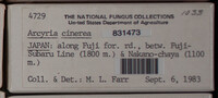 Image Associated With the Occurence